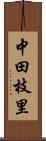中田枝里 Scroll