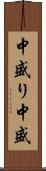 中盛り Scroll