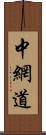 中網道 Scroll