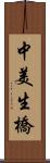 中美生橋 Scroll