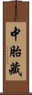 中胎藏 Scroll