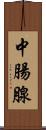 中腸腺 Scroll