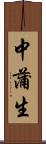 中蒲生 Scroll