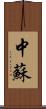 中蘇 Scroll