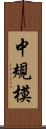 中規模 Scroll