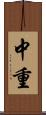 中重 Scroll