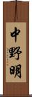 中野明 Scroll