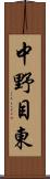 中野目東 Scroll