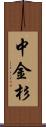 中金杉 Scroll