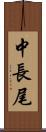 中長尾 Scroll
