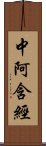 中阿含經 Scroll