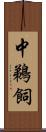 中鵜飼 Scroll
