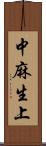 中麻生上 Scroll