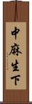 中麻生下 Scroll