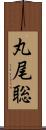 丸尾聡 Scroll