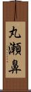 丸瀬鼻 Scroll