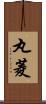 丸菱 Scroll