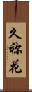 久祢花 Scroll