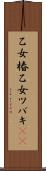 乙女椿 Scroll