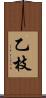 乙枝 Scroll