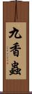 九香蟲 Scroll
