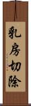 乳房切除 Scroll
