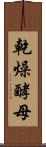 乾燥酵母 Scroll