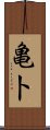 亀卜 Scroll