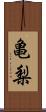 亀梨 Scroll