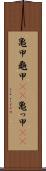 亀甲 Scroll