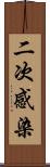 二次感染 Scroll