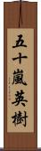 五十嵐英樹 Scroll