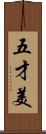 五才美 Scroll