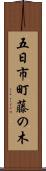 五日市町藤の木 Scroll