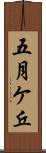 五月ケ丘 Scroll