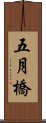 五月橋 Scroll