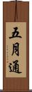 五月通 Scroll
