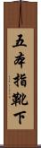 五本指靴下 Scroll