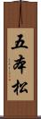 五本松 Scroll