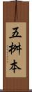 五桝本 Scroll