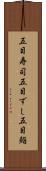 五目寿司 Scroll