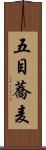 五目蕎麦 Scroll