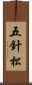 五針松 Scroll