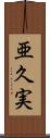 亜久実 Scroll