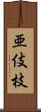 亜伎枝 Scroll