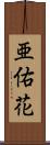 亜佑花 Scroll