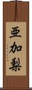 亜加梨 Scroll