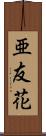 亜友花 Scroll