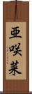 亜咲菜 Scroll