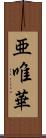 亜唯華 Scroll